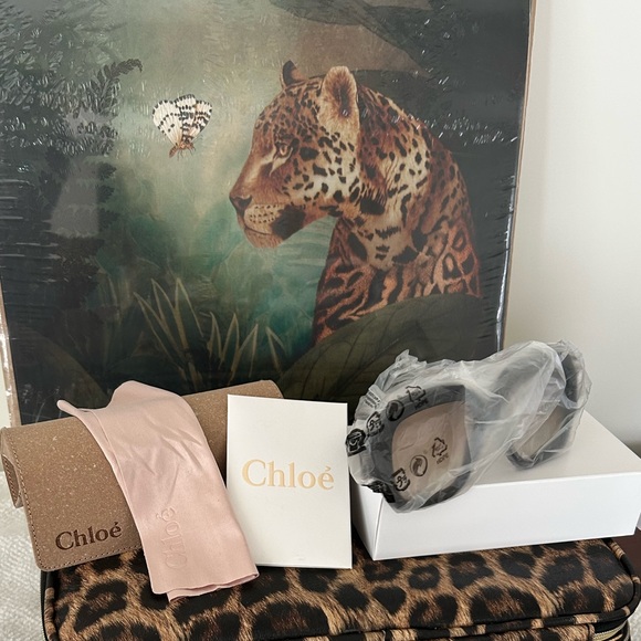 (NEW) CHLOE Authentic Luxury Havana Sunnies - Picture 6 of 6